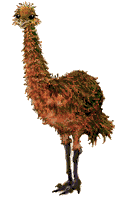 Avestruces-06.gif