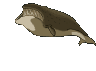 Ballenas-06.gif
