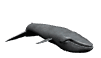 Ballenas-07.gif