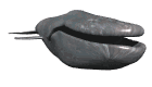 Ballenas-09.gif