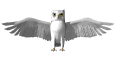 Buhos-04.gif