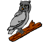 Buhos-08.gif