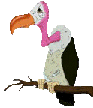Buitres-17.gif