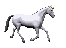Caballos-04.gif