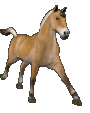 Caballos-101.gif