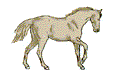 Caballos-114.gif