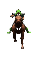 Caballos-116.gif