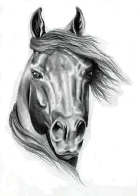 Caballos-117.gif