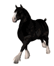 Caballos-118.gif