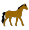 Caballos-12.gif