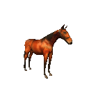 Caballos-120.gif
