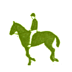 Caballos-122.gif