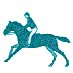 Caballos-123.gif