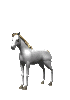 Caballos-128.gif