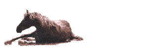 Caballos-13.gif