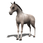 Caballos-130.gif