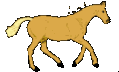 Caballos-132.gif