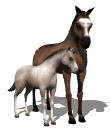 Caballos-134.gif
