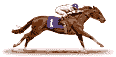 Caballos-137.gif