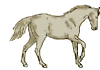 Caballos-141.gif