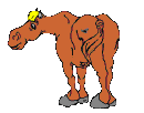 Caballos-17.gif