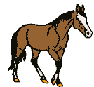 Caballos-18.gif