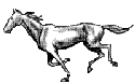 Caballos-22.gif