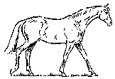 Caballos-26.gif