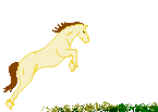 Caballos-28.gif