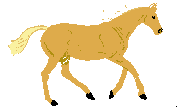Caballos-29.gif