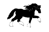 Caballos-41.gif