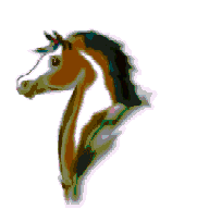 Caballos-44.gif