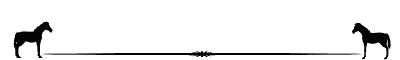 Caballos-45.gif
