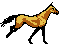 Caballos-50.gif
