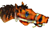 Caballos-52.gif