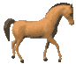 Caballos-55.gif