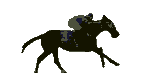Caballos-56.gif