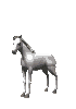 Caballos-65.gif