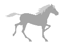 Caballos-68.gif
