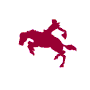 Caballos-73.gif