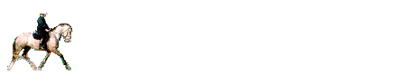 Caballos-77.gif