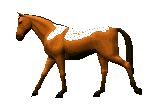 Caballos-79.gif