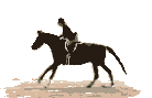 Caballos-82.gif
