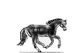 Caballos-84.gif