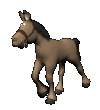 Caballos-89.gif