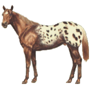 Caballos-90.gif