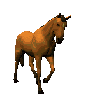 Caballos-91.gif