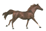 Caballos-92.gif