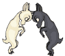 Cabras-13.gif