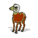 Cabras-14.gif